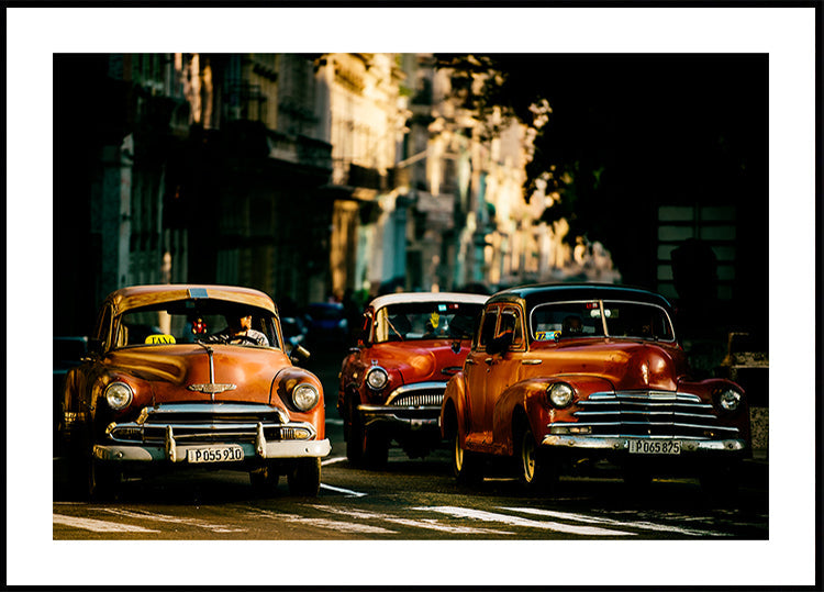 Come with me in the morning light