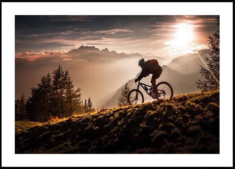 Golden hour biking Poster