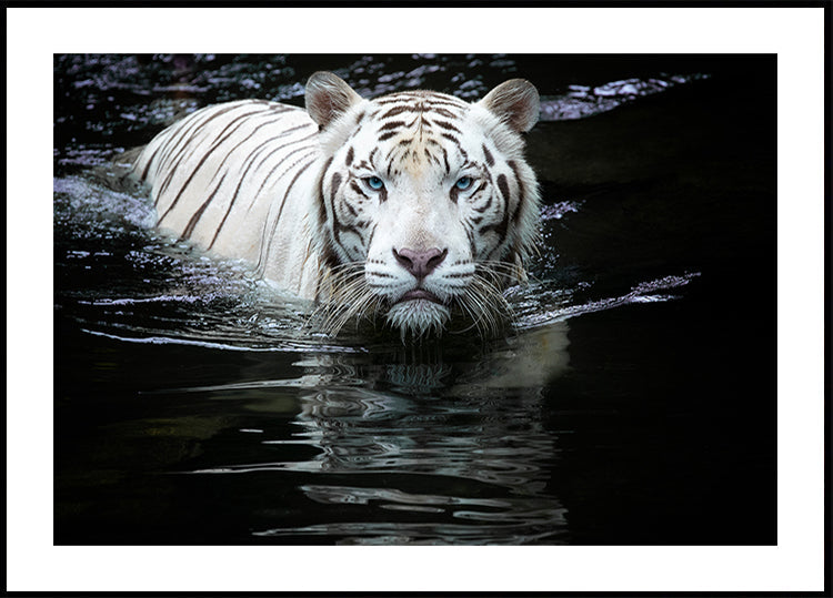 Looking at Me Looking at You