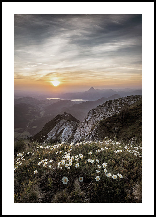 Sunrise Over Mountain Wildflowers Poster - Posterbox.dk