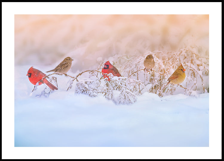 Snowy Morning Party Poster