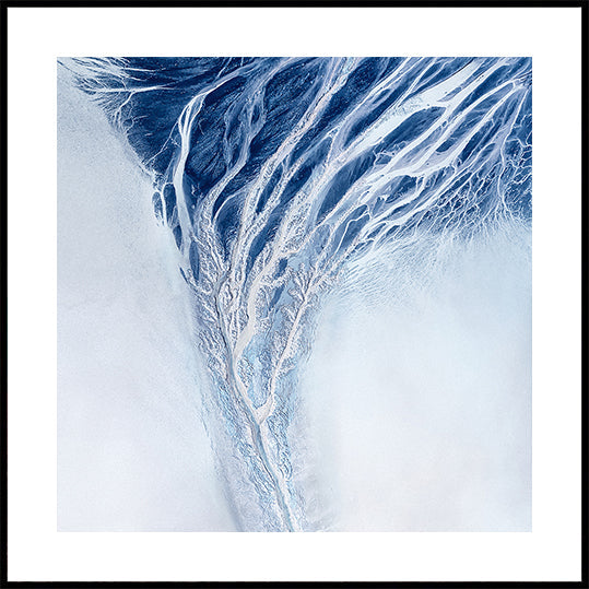 Nature Abstract Posters