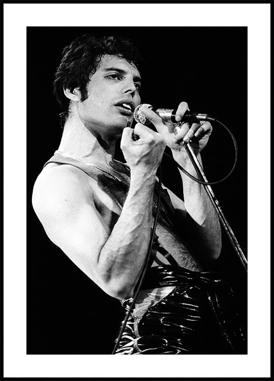Freddie Mercury Hand Poster - Posterbox.dk