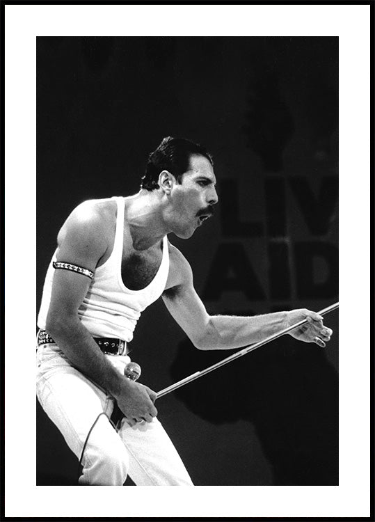 Freddie Mercury on Stage Poster - Posterbox.dk