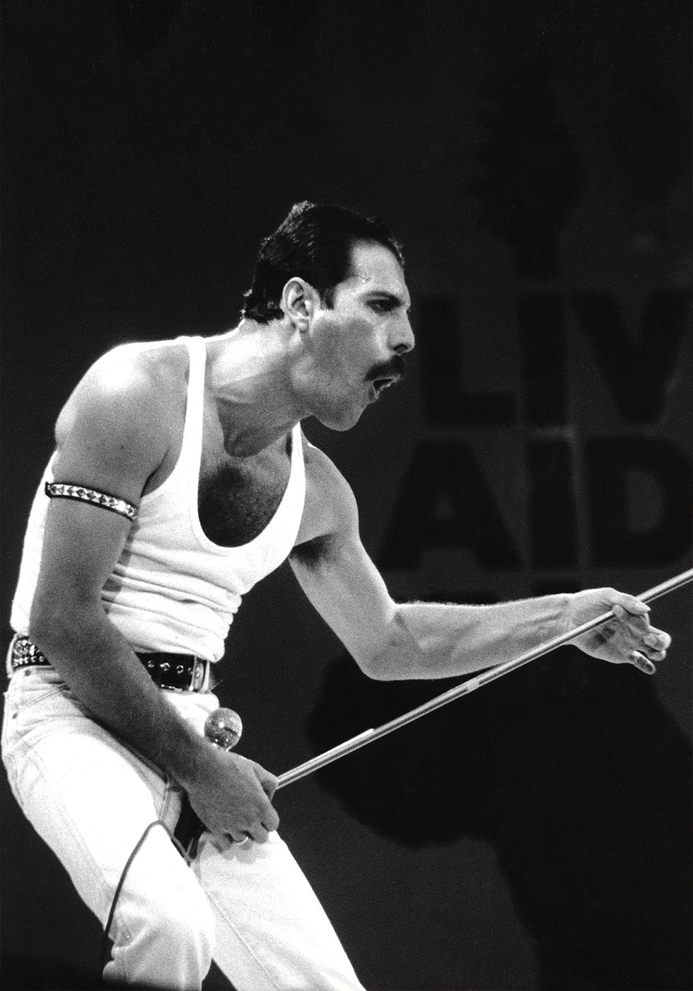 Freddie Mercury on Stage Poster - Posterbox.dk