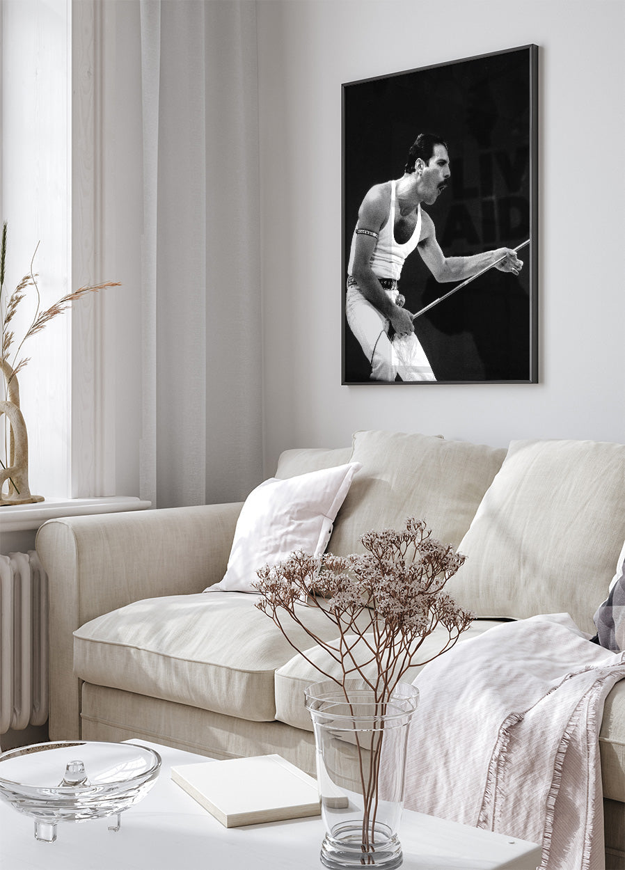 Freddie Mercury on Stage Poster - Posterbox.dk