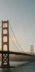 Golden Gate Bridge Poster - Posterbox.dk