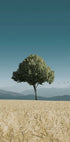 Green Tree In The Field Poster - Posterbox.dk