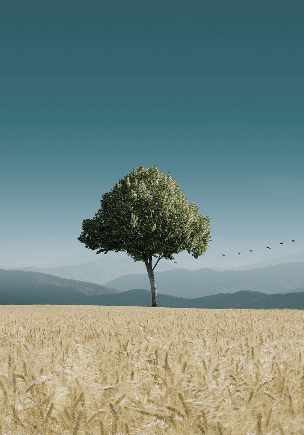 Green Tree In The Field Poster - Posterbox.dk