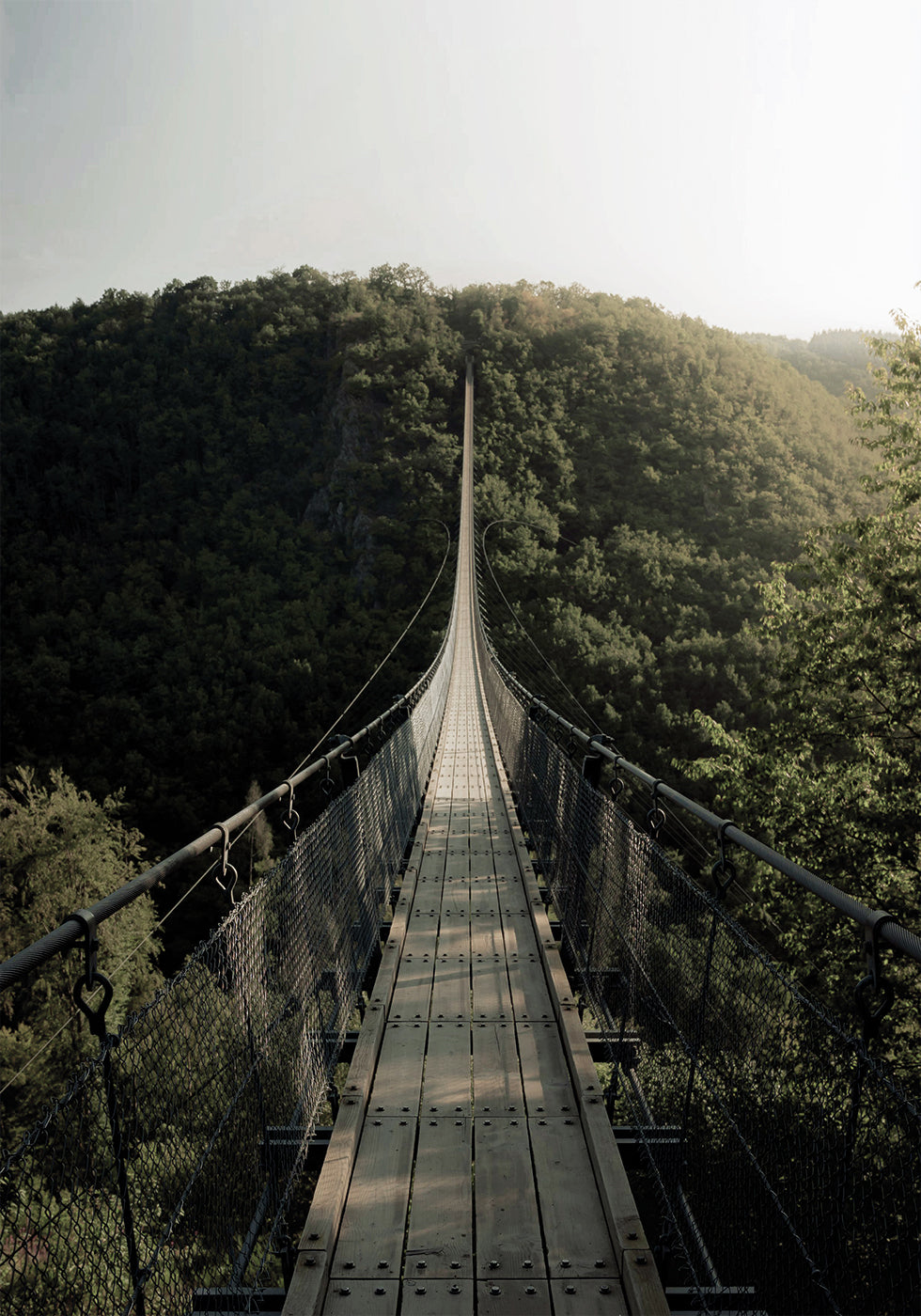 Hanging Bridge Poster - Posterbox.dk