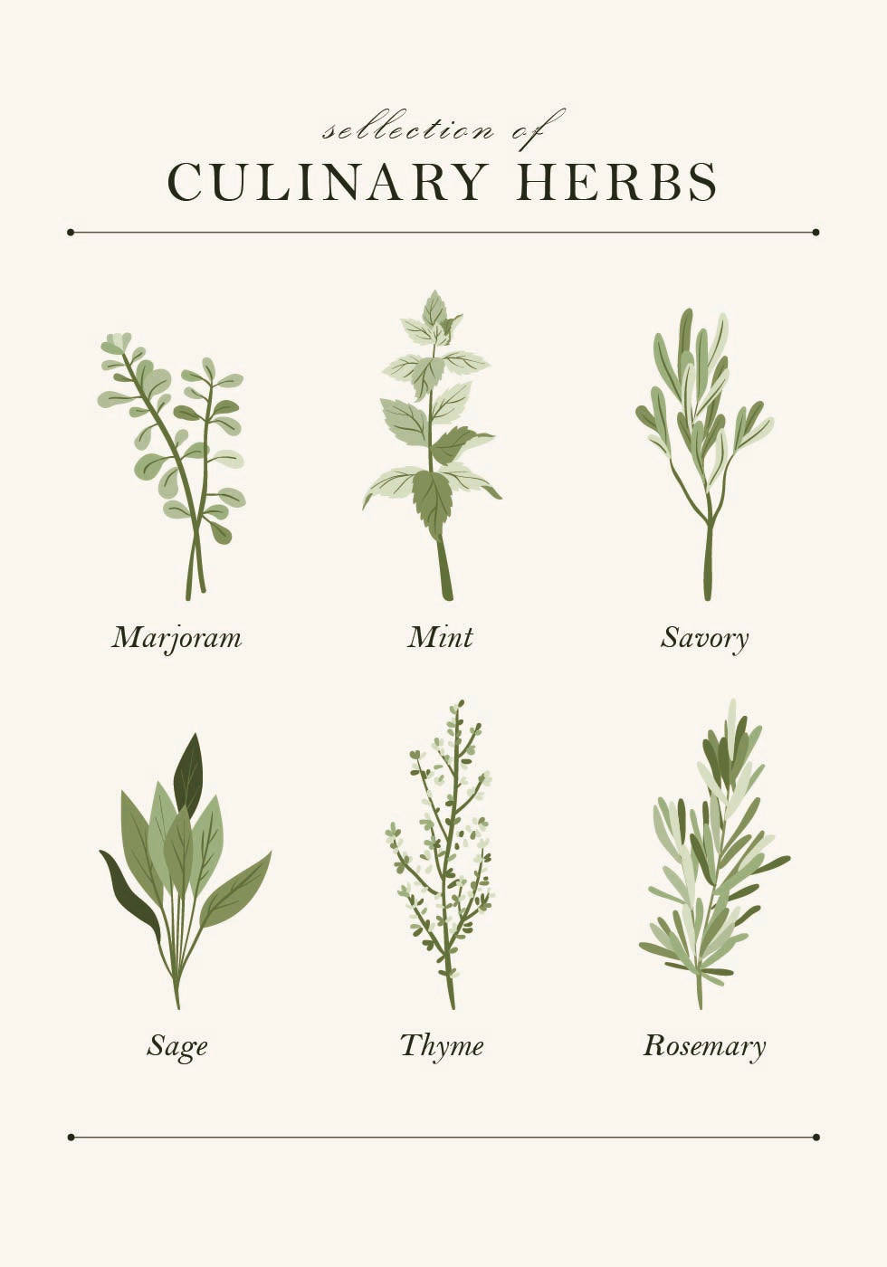 Herbs Poster - Posterbox.dk