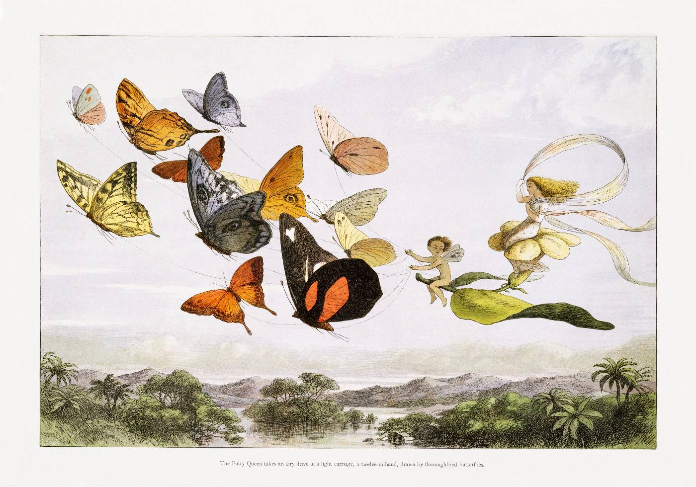 In Fairyland Butterflies By Richard Doyle Vintage Art Poster - Posterbox.no