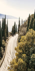 Road Along Lake Garda Poster - Posterbox.dk