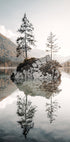 Tranquil Reflections at Lake Hintersee Poster - Posterbox.dk