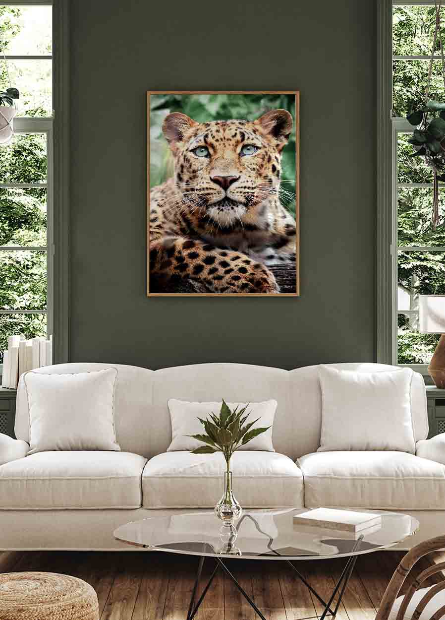 Leopard Portrait Poster - Posterbox.dk