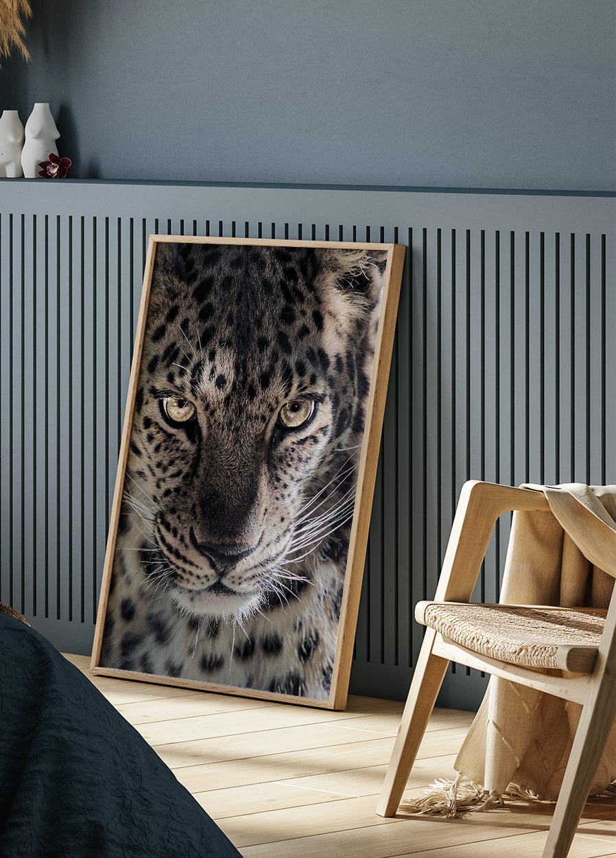 Leopard Poster - Posterbox.dk