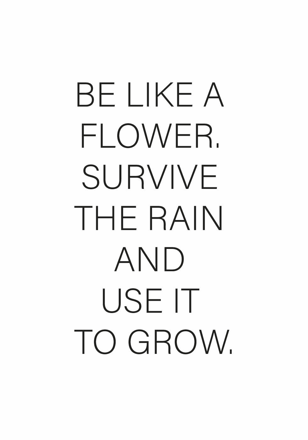 Like a Flower Poster - Posterbox.no