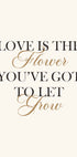 Love Is The Flower Poster - Posterbox.no