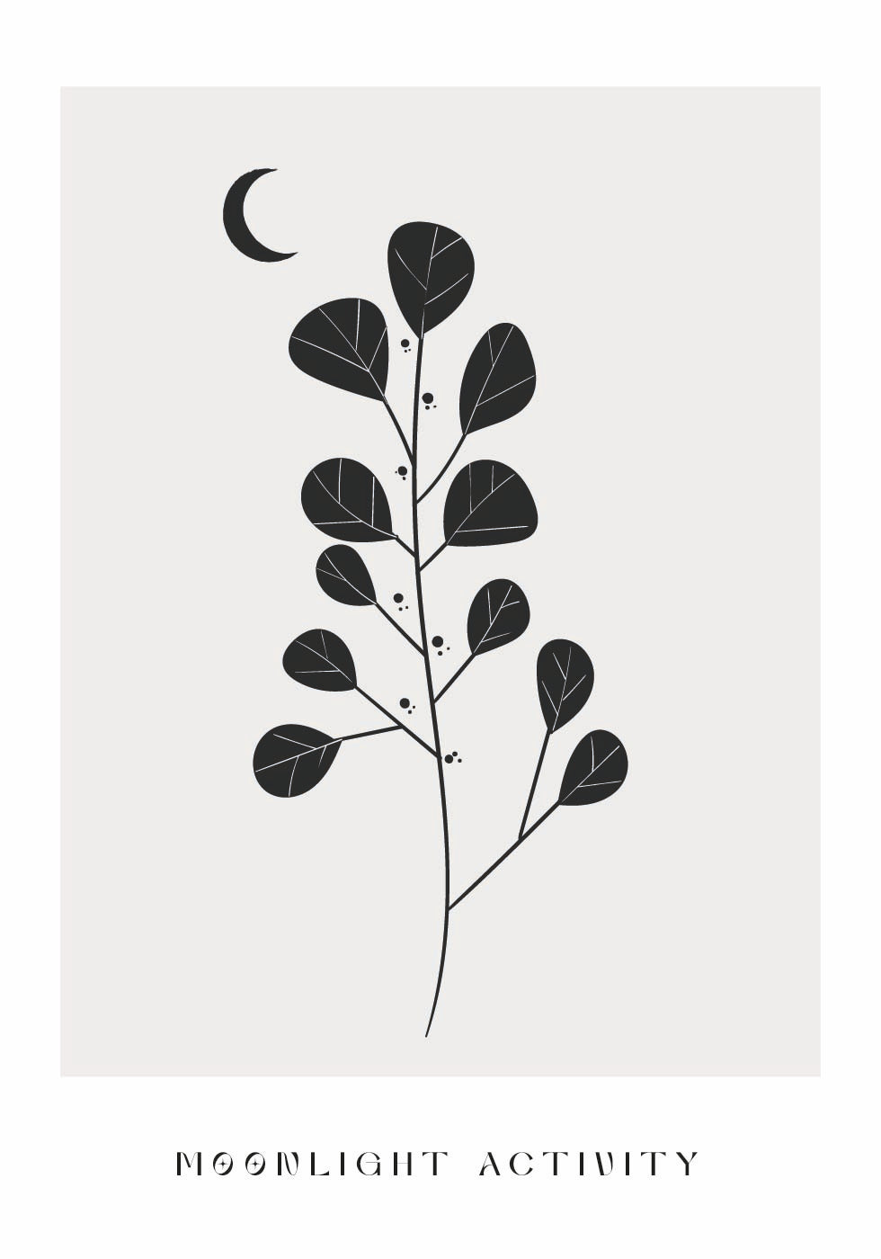 Moonlight Activity No. 3 Poster - Posterbox.dk