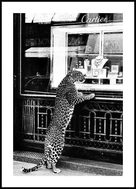 Panther in the Jewelry Shop Poster - Posterbox.dk