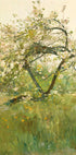Peach Blossoms Villiers-le-Bel By Childe Hassam Poster - Posterbox.dk