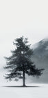 Lone Pine Tree in Foggy Field Poster - Posterbox.dk