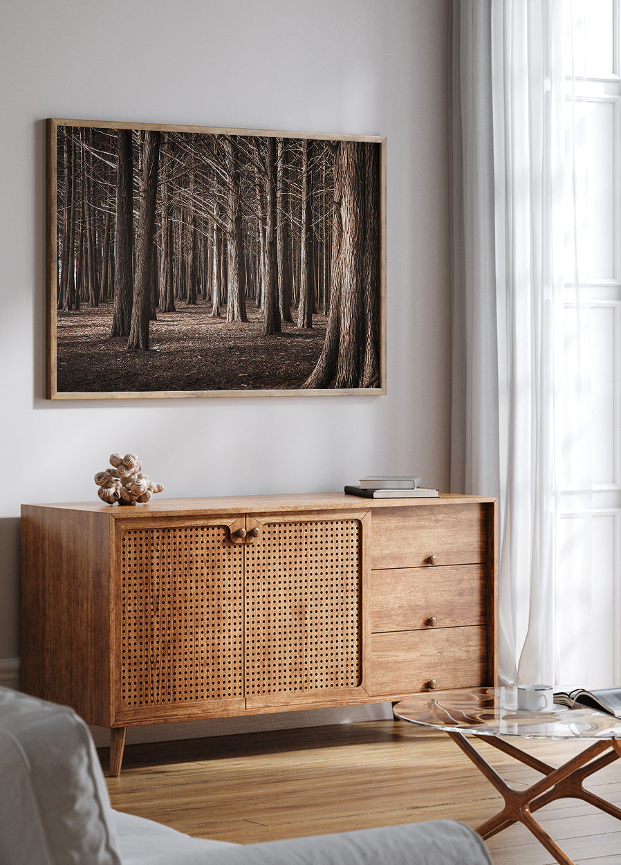 Pinewood Forest Poster - Posterbox.dk