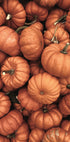 Warm Autumn Pumpkins Poster - Posterbox.dk
