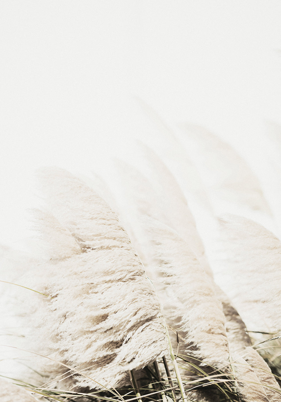 Reed In Wind Poster - Posterbox.dk