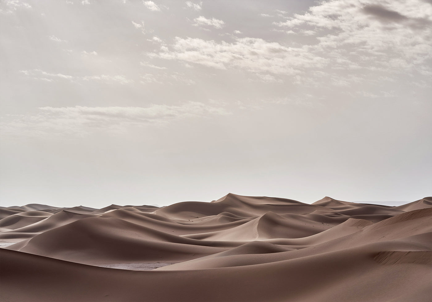 Sahara Desert Poster - Posterbox.dk