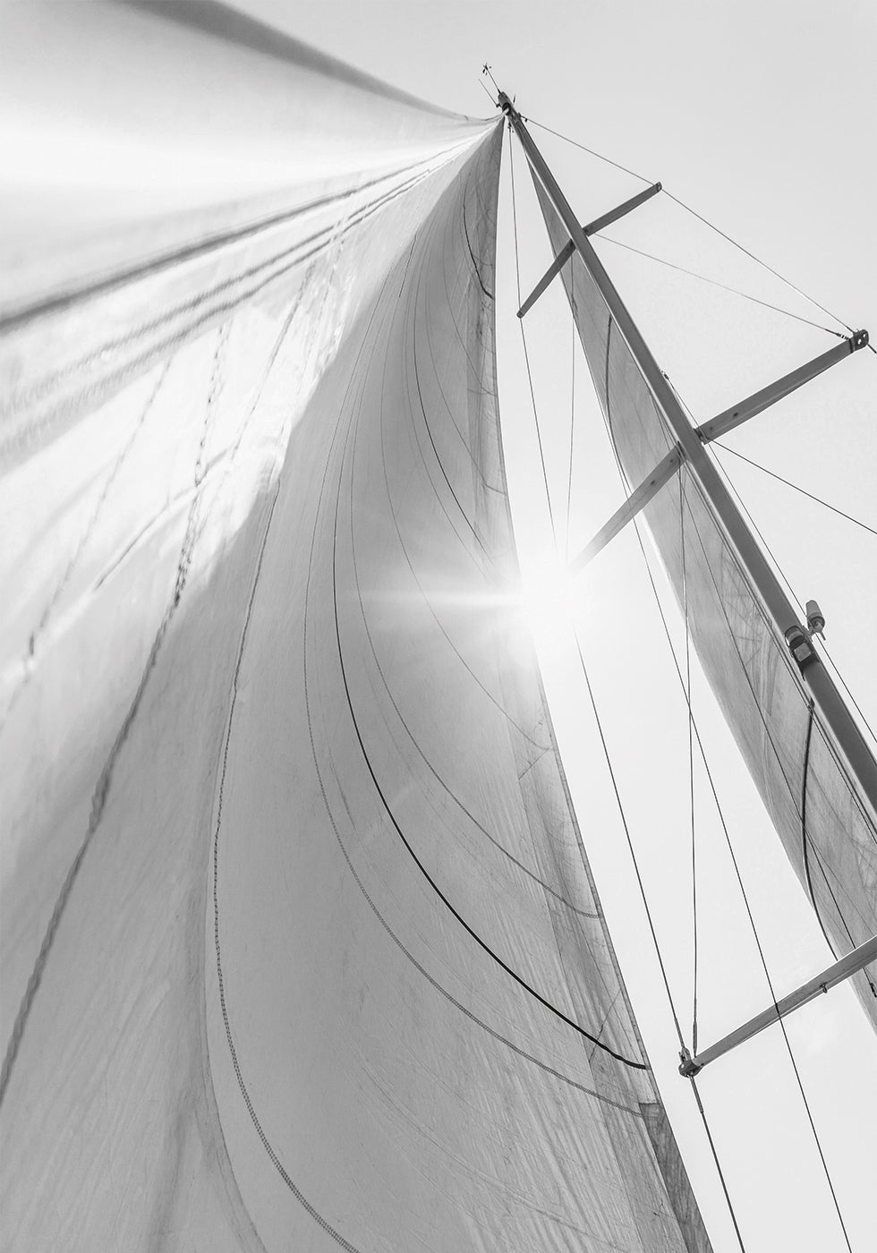 Sail In Sunlight Poster - Posterbox.dk