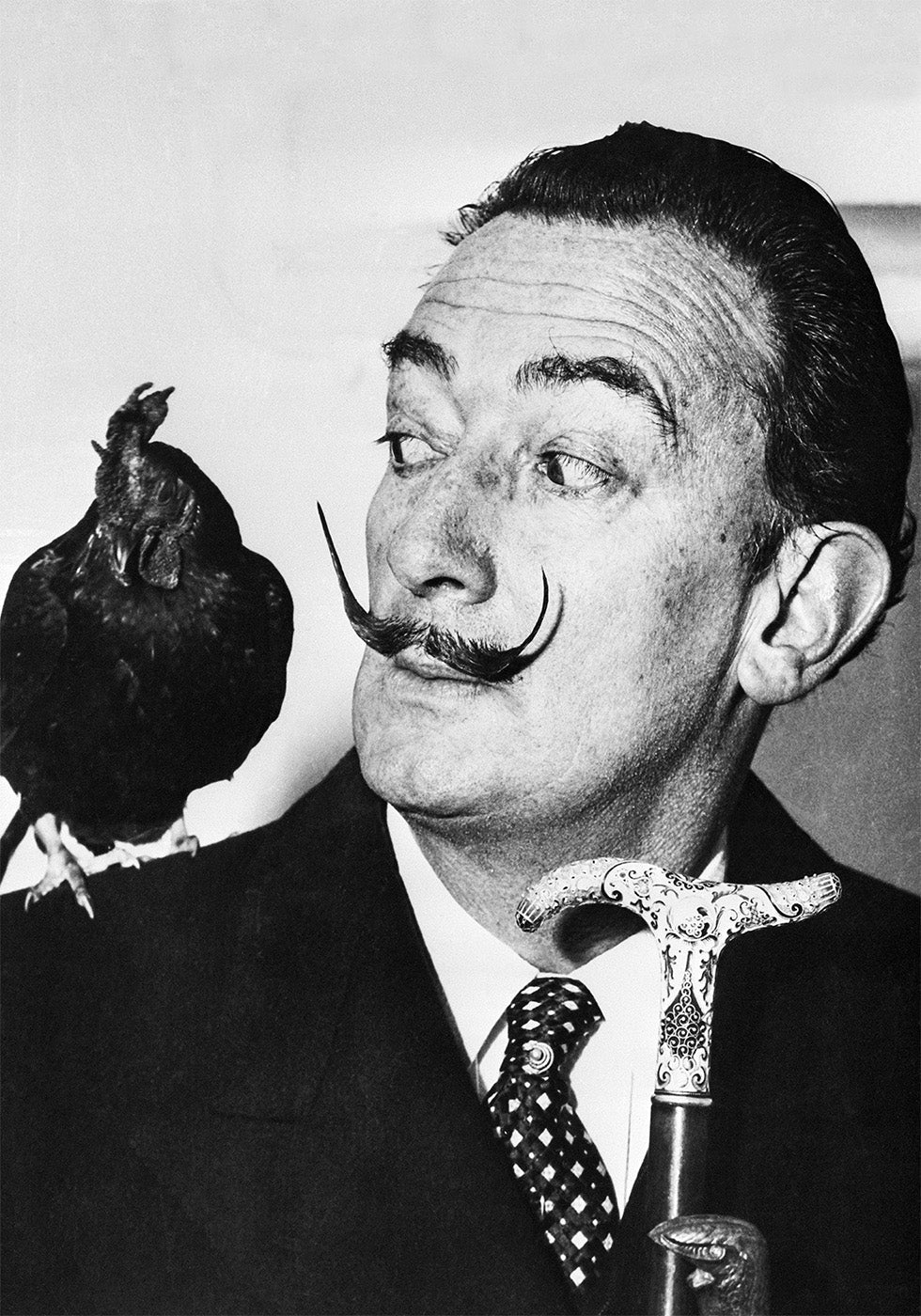 Salvador Dali with Rooster Poster - Posterbox.dk