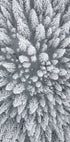Snow Forest Aerial Poster - Posterbox.dk