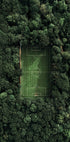 Soccer Field In The Forest Poster - Posterbox.dk