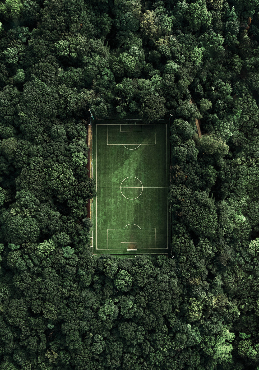 Soccer Field In The Forest Poster - Posterbox.dk