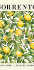 Sorrento Lemon Poster - Posterbox.no