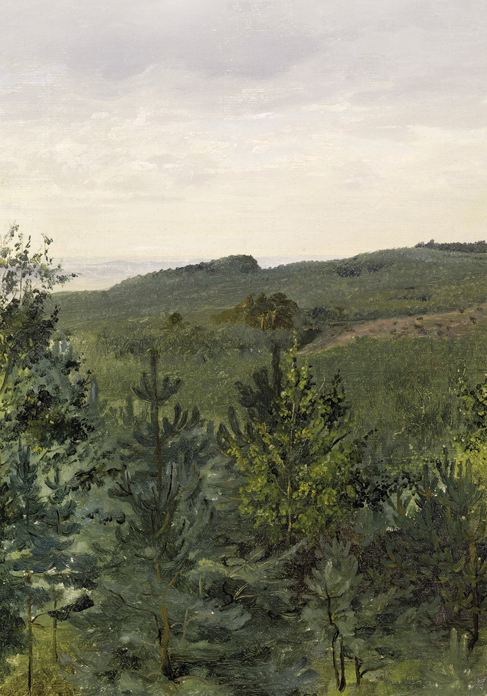 Spruce Saplings in Sandy Soil Study By Werner Holmberg Poster - Posterbox.dk