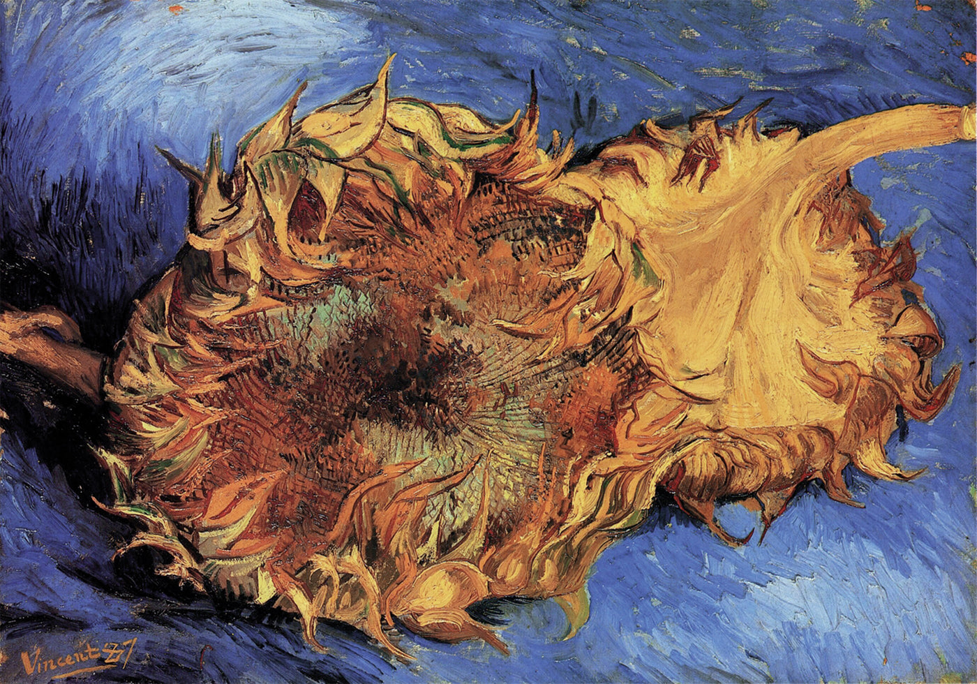 Sunflowers By Vincent van Gogh Poster - Posterbox.dk