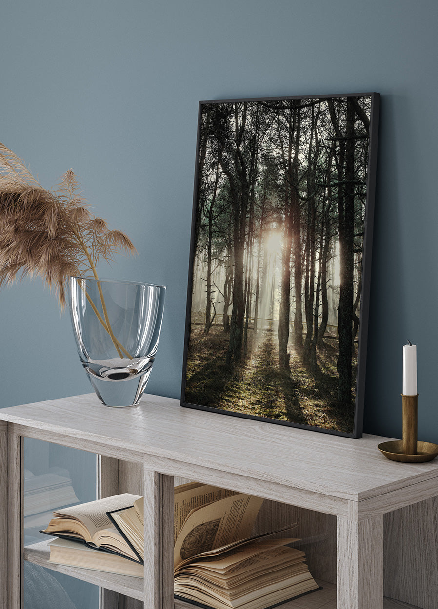 Sunlight Through The Trees Poster - Posterbox.dk