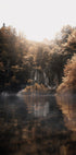 Sunrise in the Misty Forest with Reflections Poster - Posterbox.dk