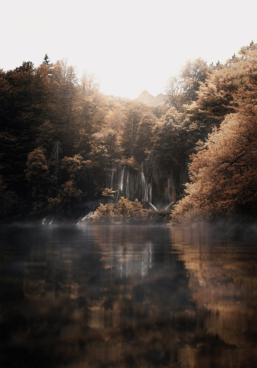 Sunrise in the Misty Forest with Reflections Poster - Posterbox.dk