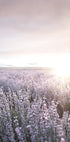 Sunset Over Lavender Fields Poster - Posterbox.dk