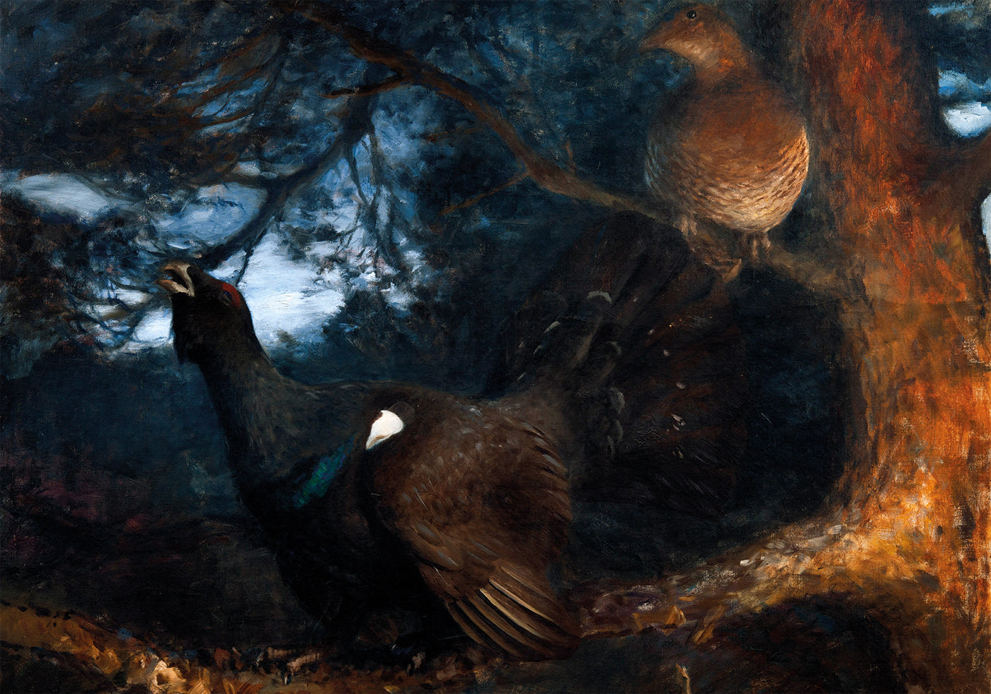 The Mating of the Capercaillies By Bruno Liljefors Poster - Posterbox.dk