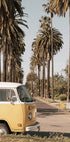 Vintage Yellow Van Among California Palm Trees Poster - Posterbox.dk