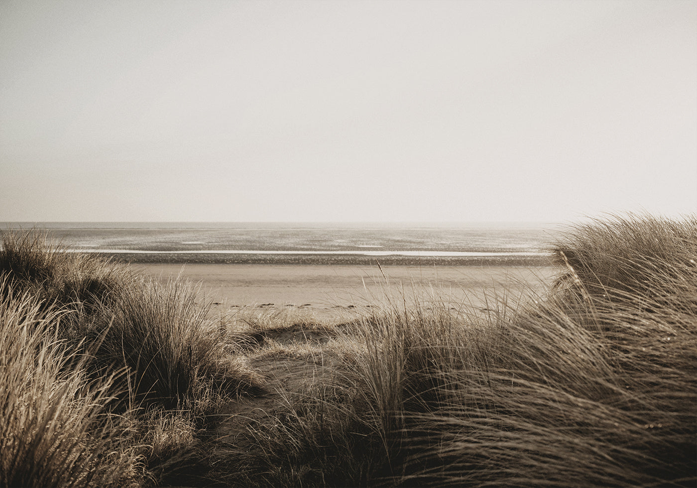 View Of The Beach From Behind The Grass Poster - Posterbox.dk