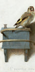 Vintage Bird Painting Poster - Posterbox.dk