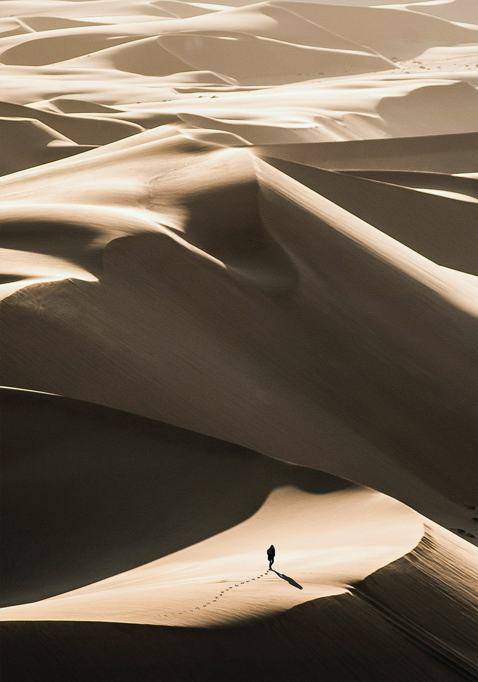 Walking In Desert Poster - Posterbox.dk