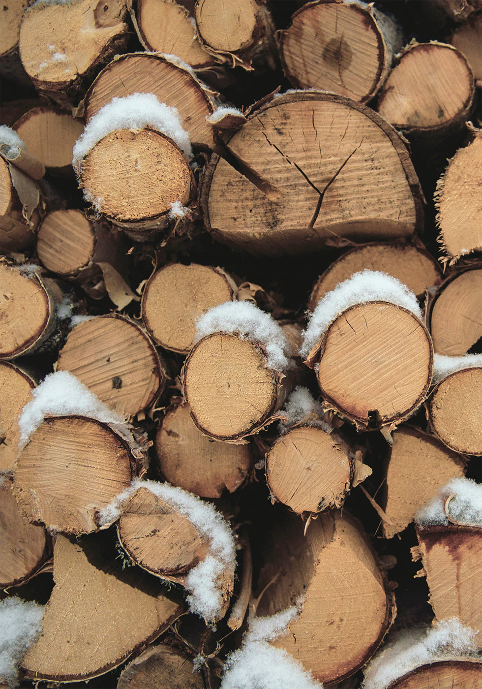 Wooden Logs Poster - Posterbox.dk