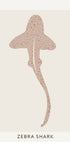 Zebra Shark Poster - Posterbox.dk