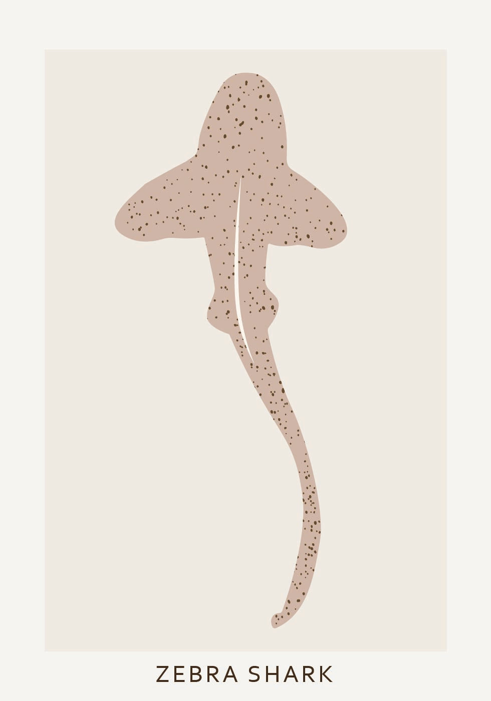 Zebra Shark Poster - Posterbox.dk